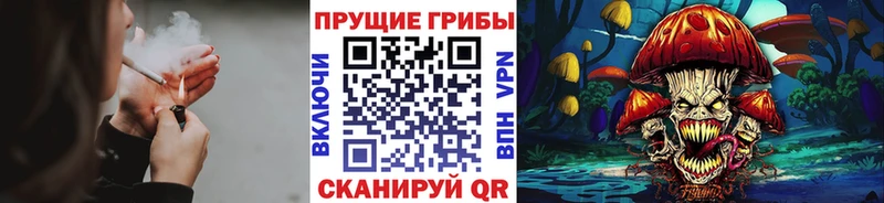 как найти закладки  Соликамск  Псилоцибиновые грибы мицелий 
